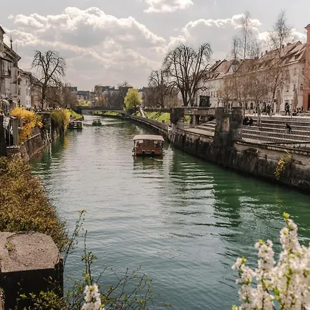 Charming Romeo * Ljubljana